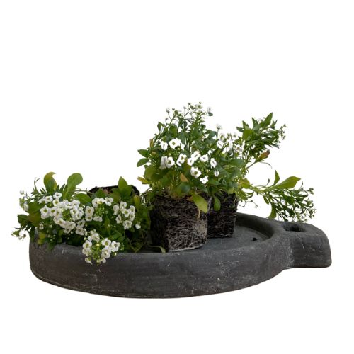 Round Stone Plate - L