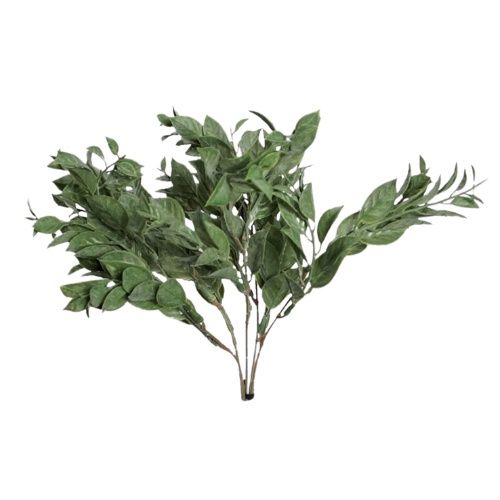 Lauro Bush Green