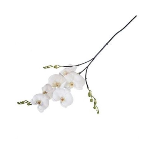 Large Orchid Spray White