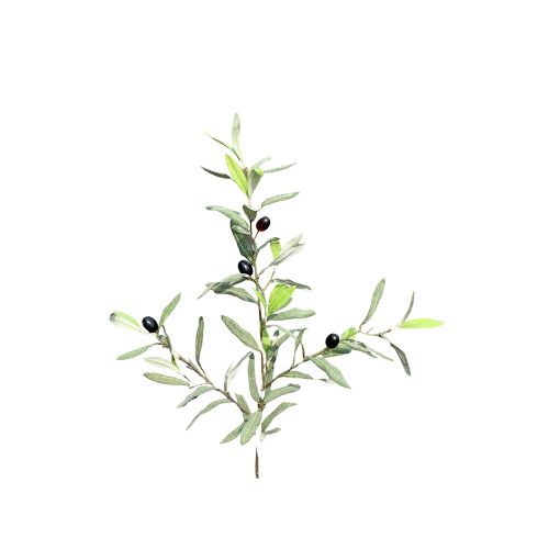 34" Olive Spray