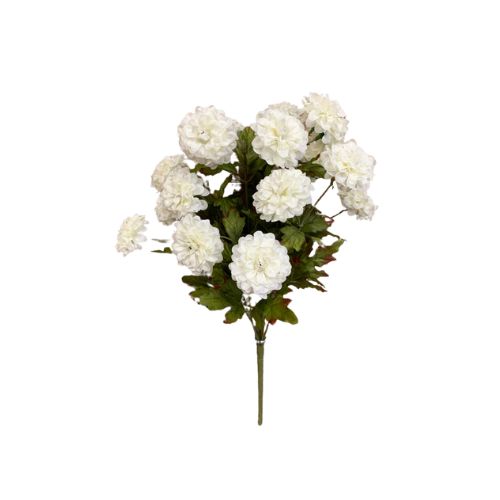 16" Cream Zinnia Bush