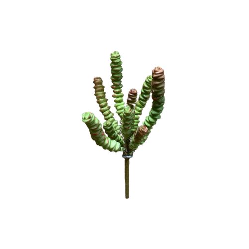8" Succulent Stem