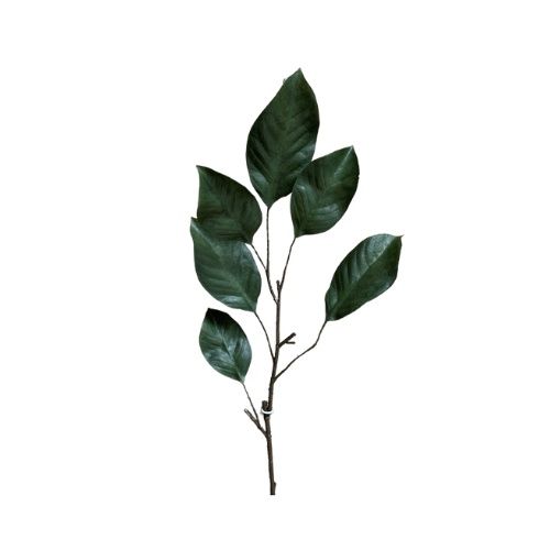 Magnolia Leaf Spray