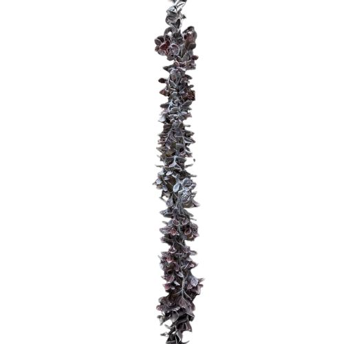 72" Snowy Aglaia Garland