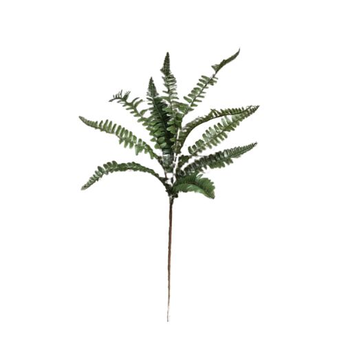26" Fern Spray