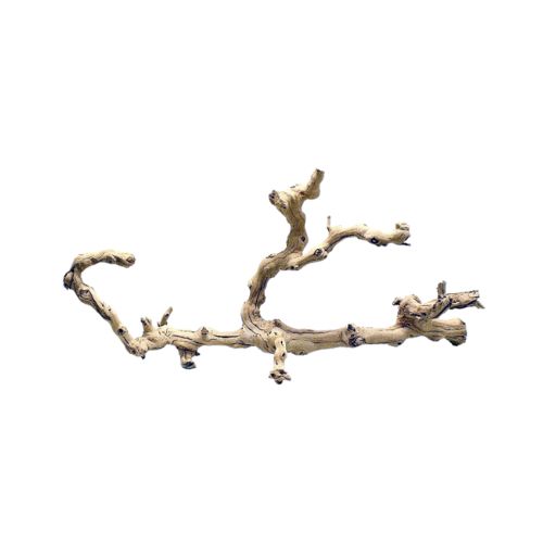 Sandblasted Branch Vino