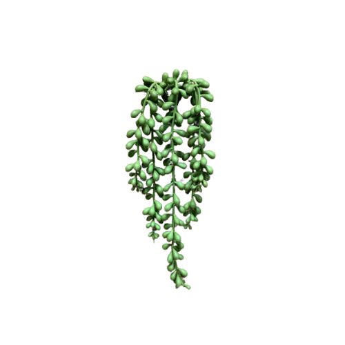 13" String of Pearls Spray