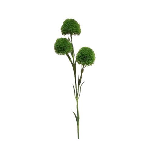 24" Green Allium Bud Spray