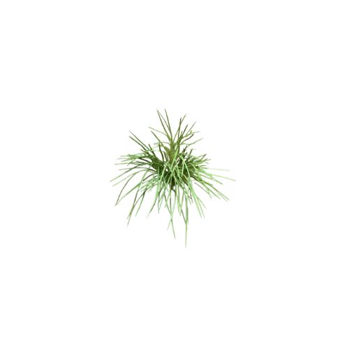 Grass Bundle