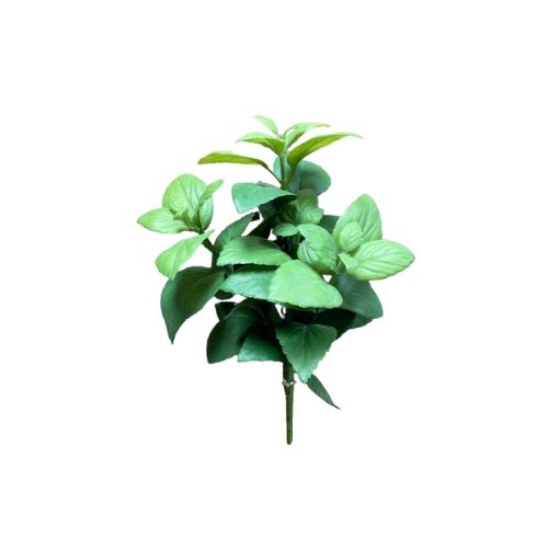 12" Mint Bush - Green