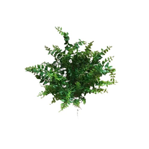 18.5" Fern Bush