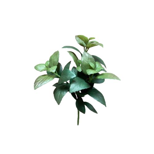 12" Mint Bush - Burgundy Green