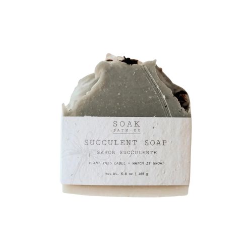 Soap Bar - Succulent