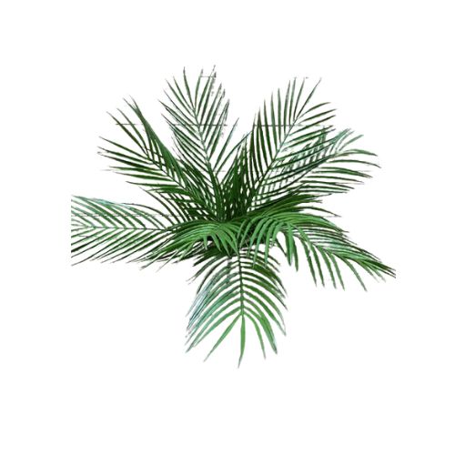 20" Palm Bush