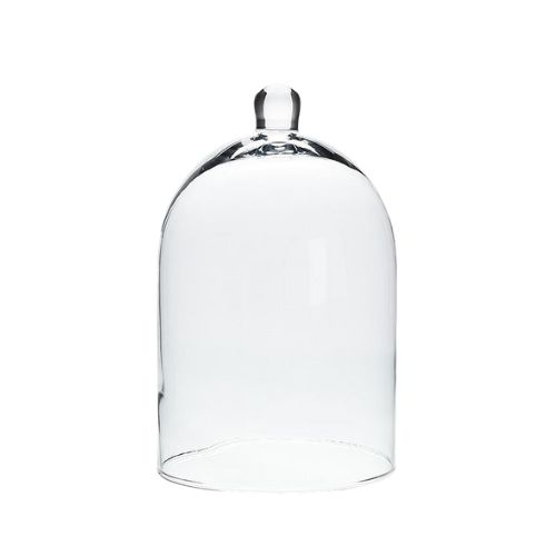 Bell Cloche Dome Large