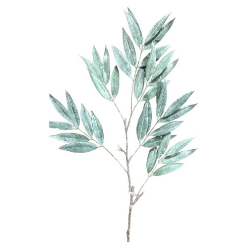 42" Muddy White Willow Spray