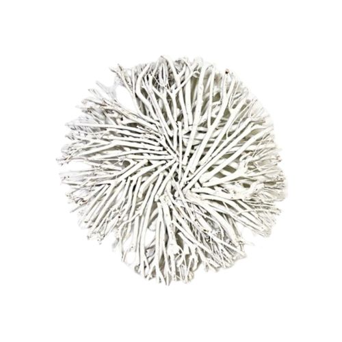 Coarse Vine Wreath