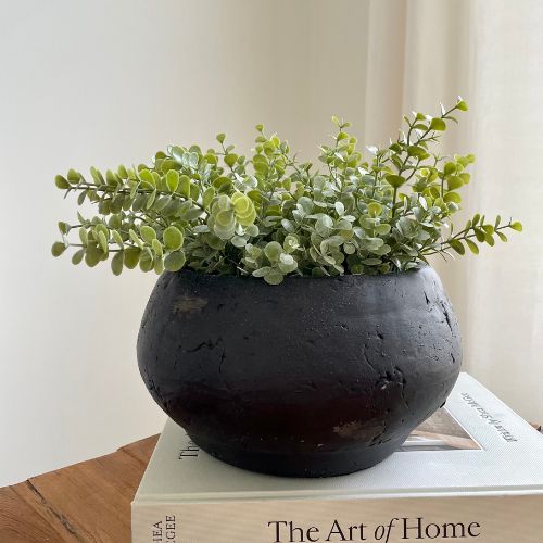Eucalyptus Bush Grey