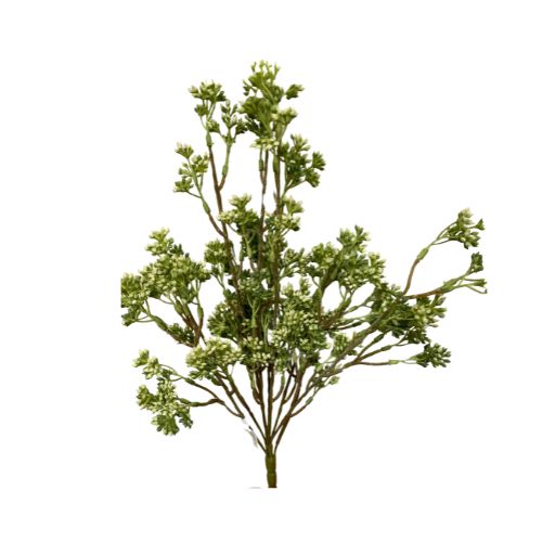 17" Eucalyptus Bush White Seeded