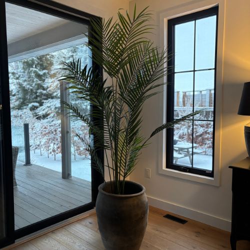 7' Areca Palm