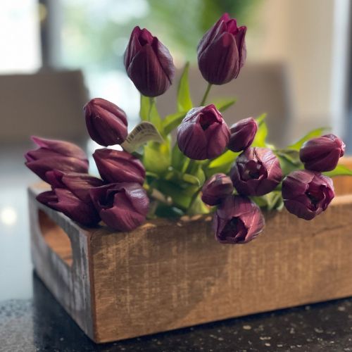 10" Tulip Bundle - Purple