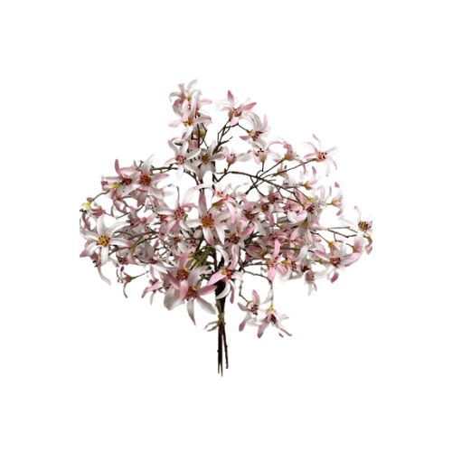 21" Forsythia Bundle, Colour: Pink