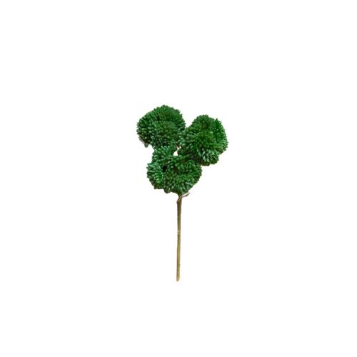 9" Sedum Pick, Colour: Green