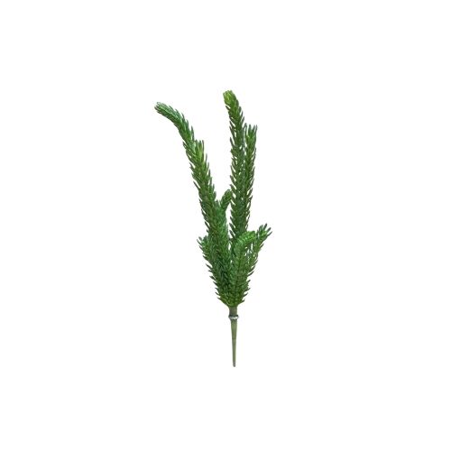 15" Senecio Pick