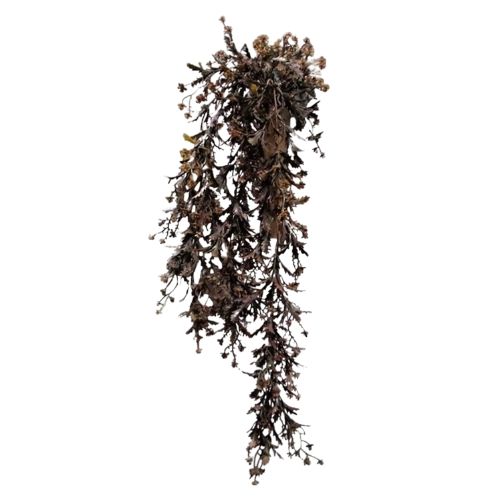 Hanger Leaf Fine Brown