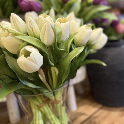 12" Tulip Bundle - White