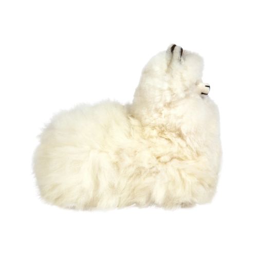 Sitting Alpaca