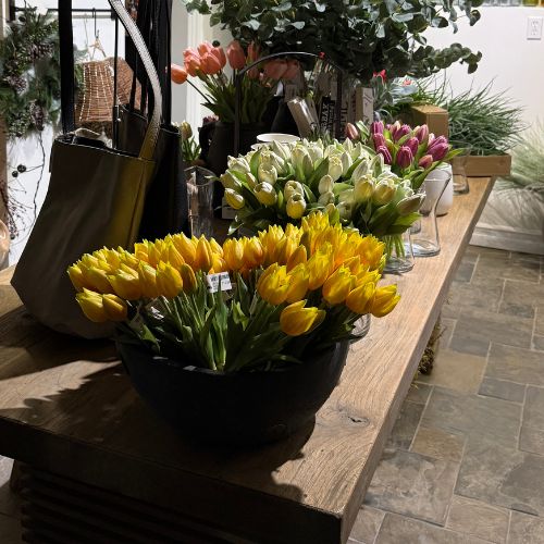 10" Tulip Bundle - Yellow