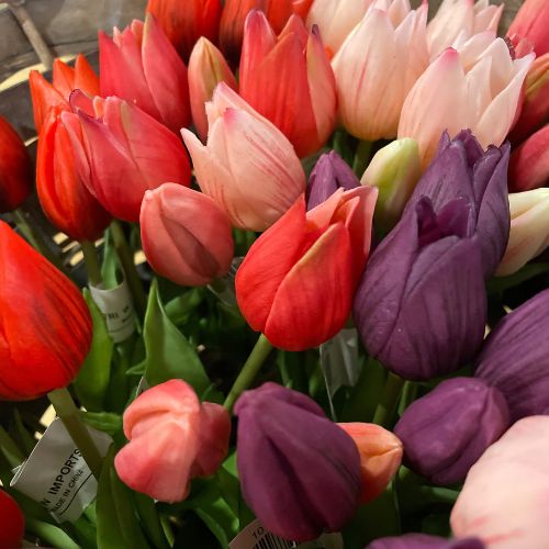 16" Tulip Bundle - Pink