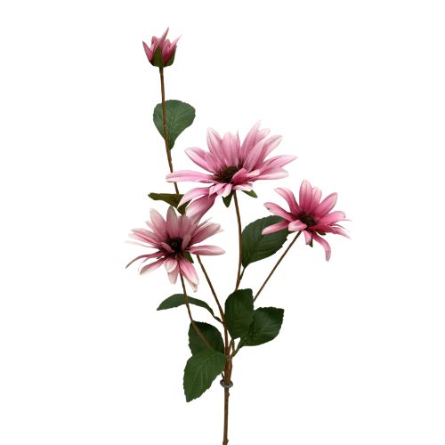 32.5" Black Eye Susan Stem