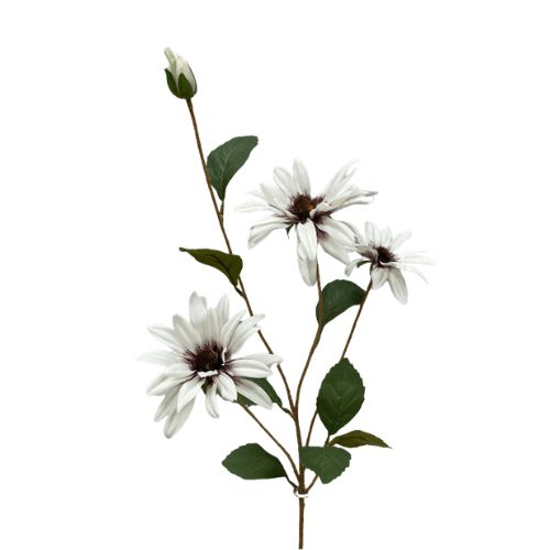 32.5" Black Eye Susan Stem, Colour: White