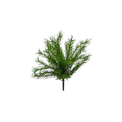 13.5" Green Asparagus Bush