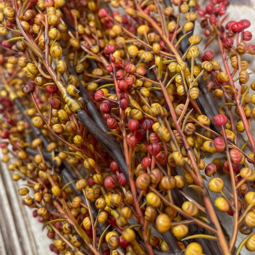 18" Pepperberries Bush