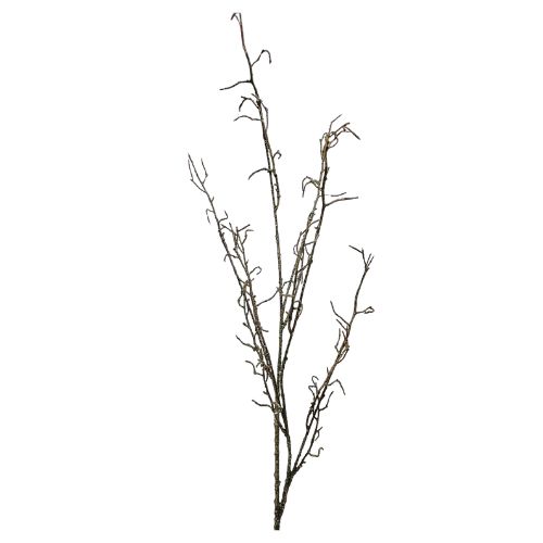 42" Twig Branch