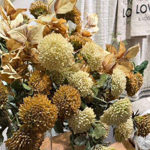 Scabiosa Spray
