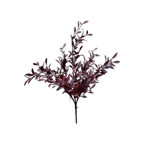 Willow Leaves Bush - Burgundy