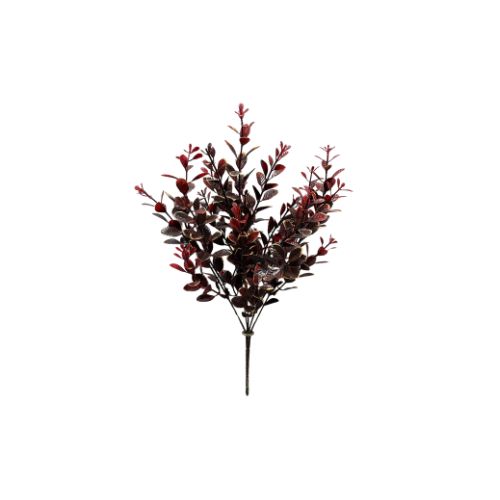 14" Euonymus Bush - Burgundy