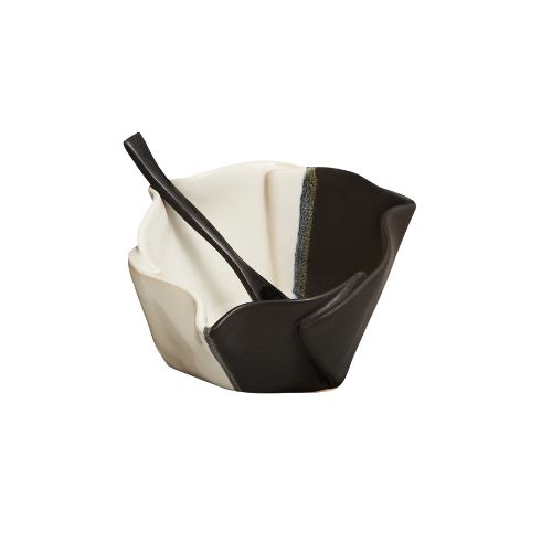Multi-Purpose Dish