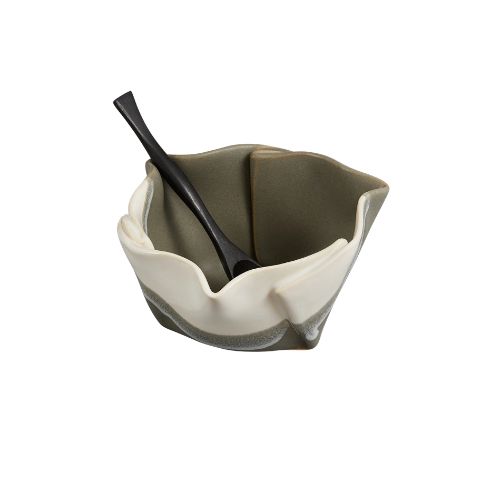 Multi-Purpose Dish