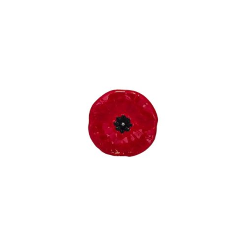 Magnetic Poppy Pin