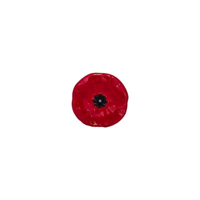 Magnetic Poppy Pin