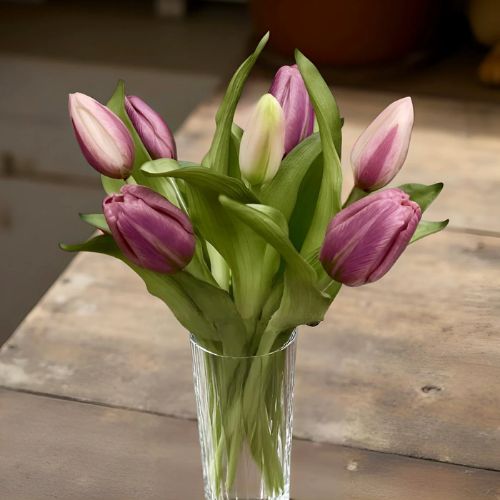 12" Formosa Tulips - Plum