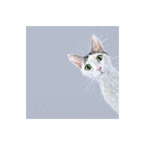 Lunch Napkin - Stella Cat