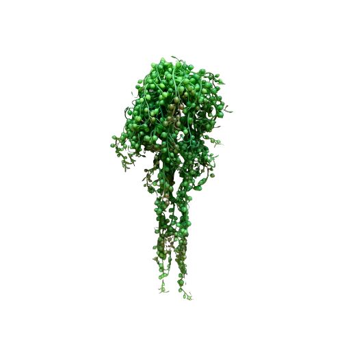 18" String of Pearls