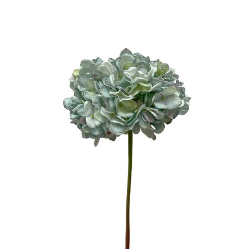 23" Dried Hydrangea Stem - Blue