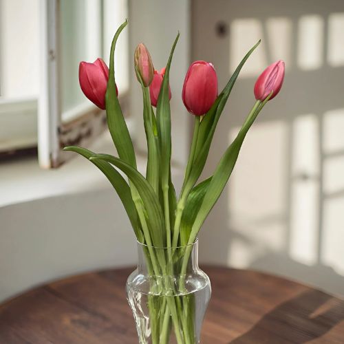 16" Tulip Bundle - Rose